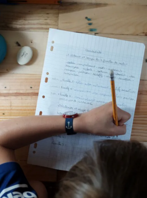 Les-Echos-Investir-dans-les-familles