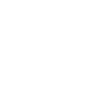 icone radio
