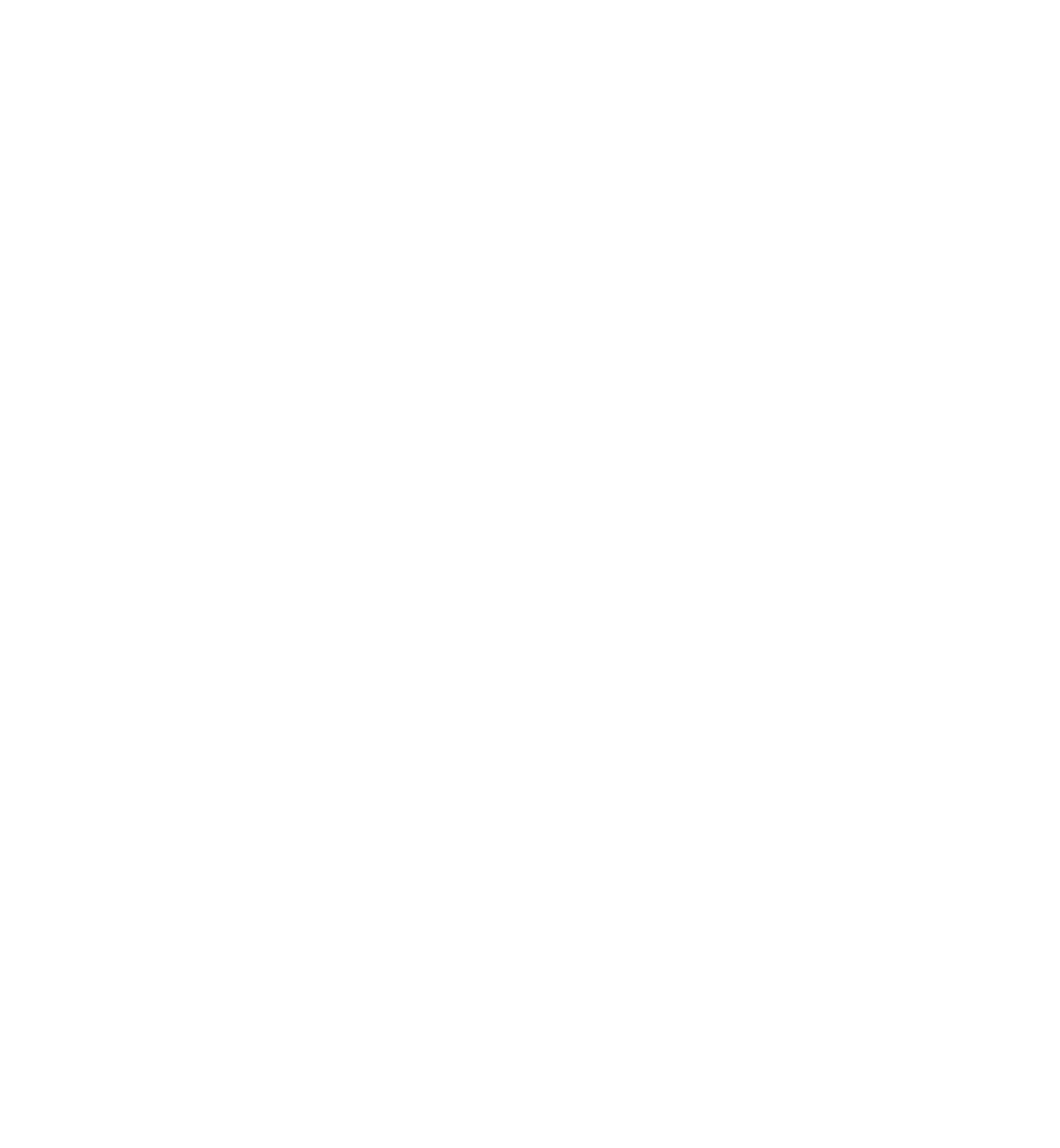 motif v blanc 3